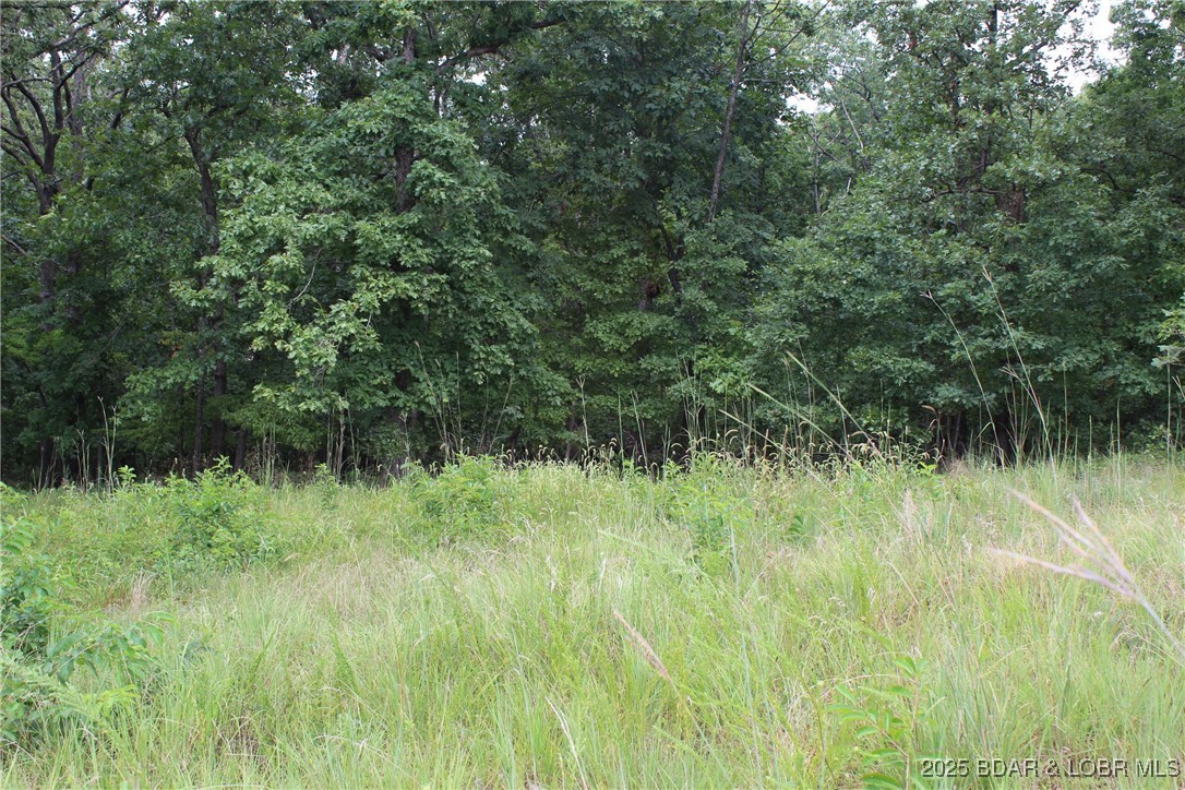 Woodhaven Estates - Land