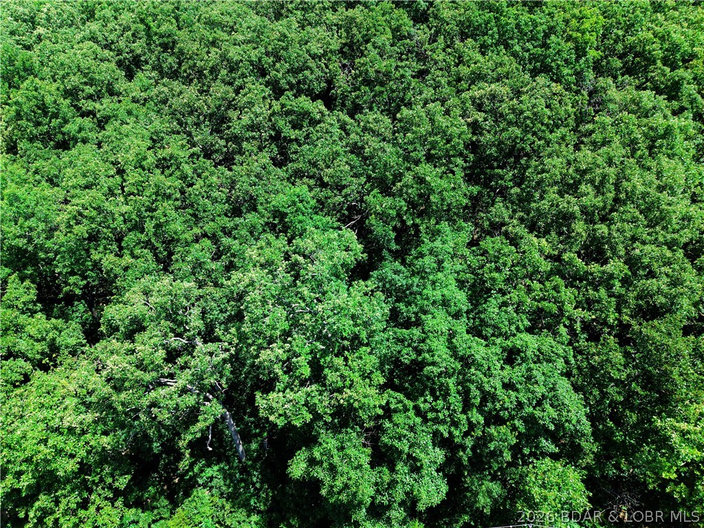 Indian Creek Hills - Land