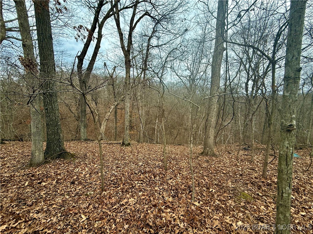 Ivy Bend - Land