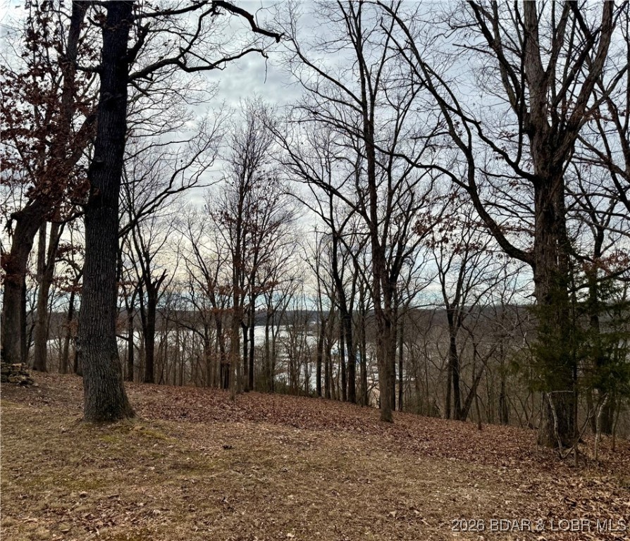 Ivy Bend - Land