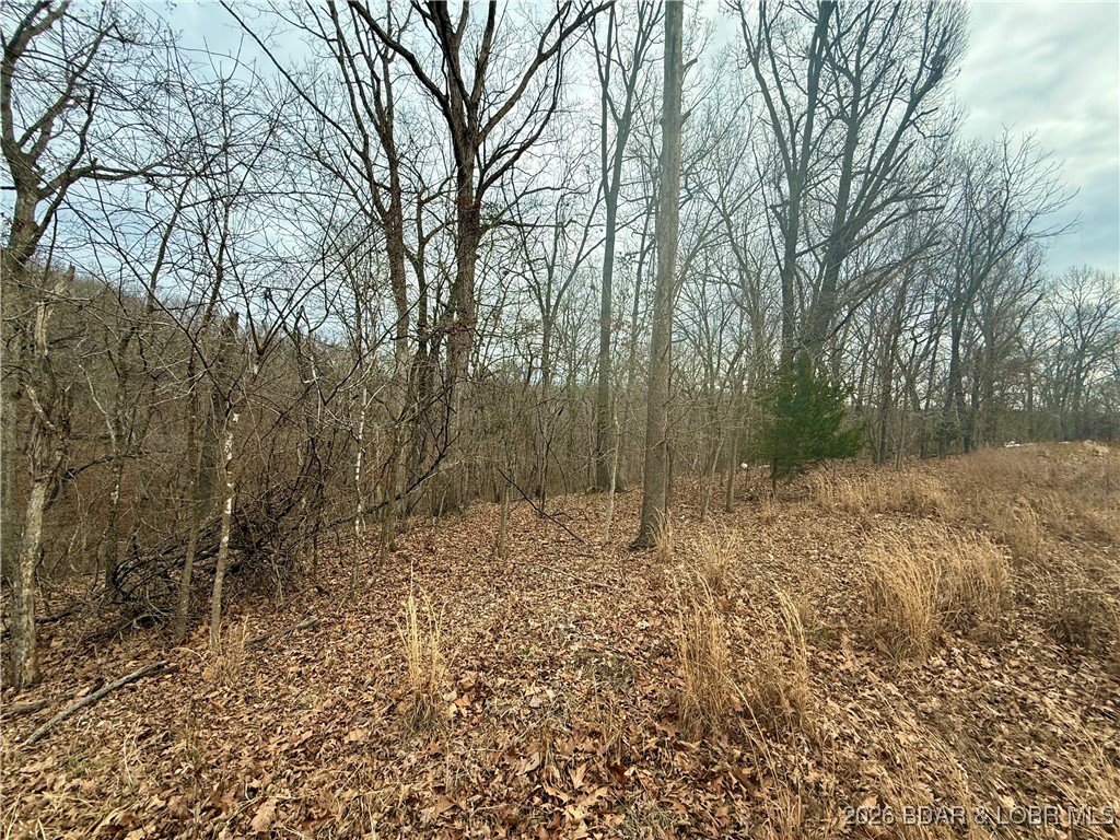 Ivy Bend - Land