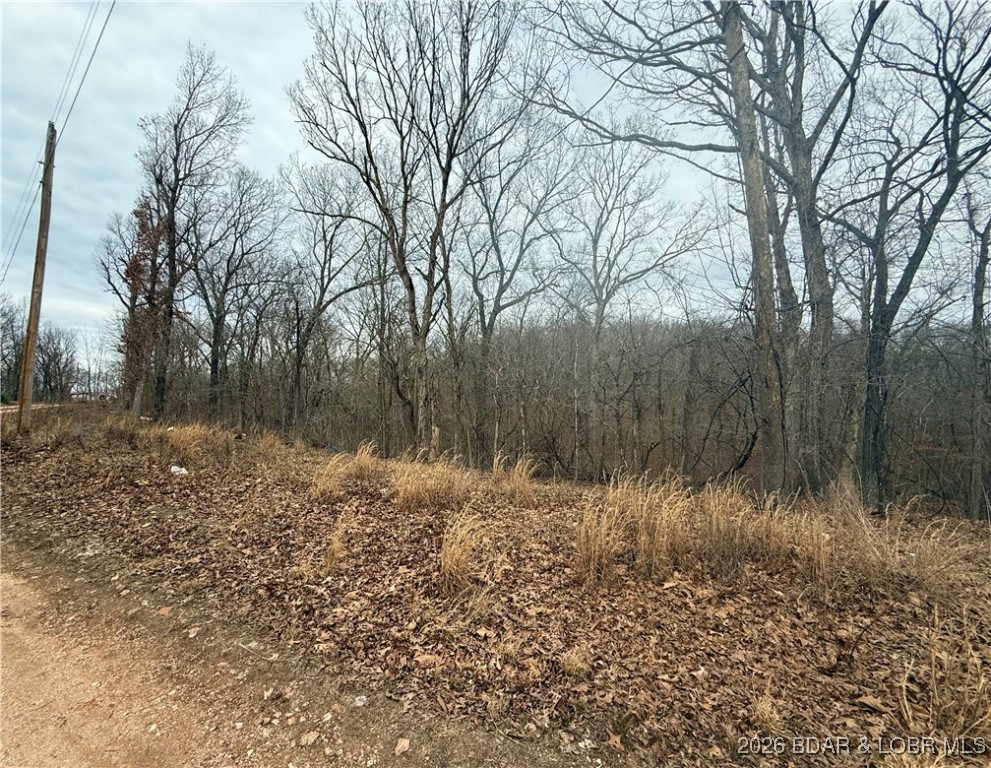 Ivy Bend - Land