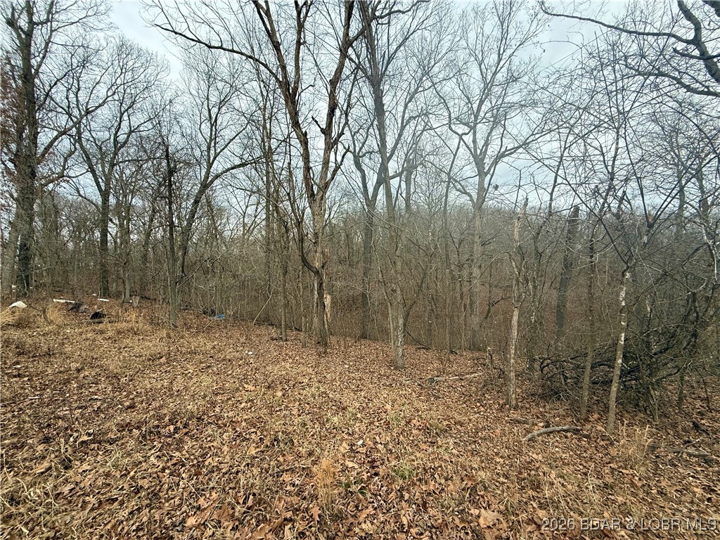 Ivy Bend - Land