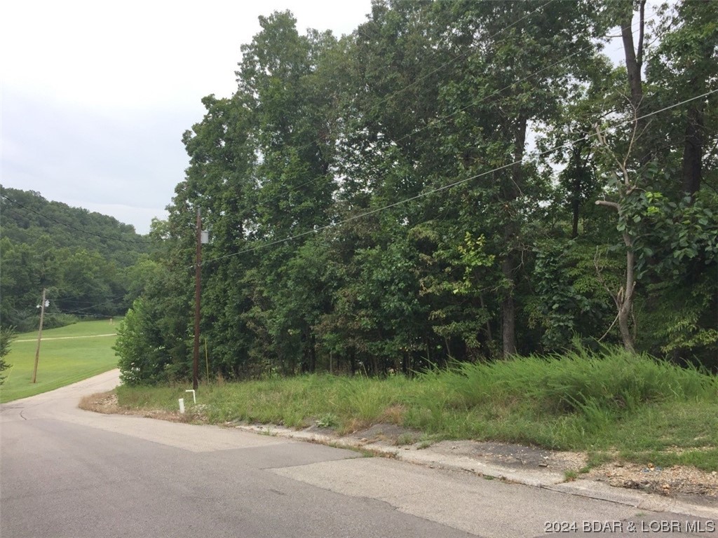 Camelot Building Lot. Perfect Lot for your special Home with Water, Sewer and Electric available. Camelot Amenities are included with 2 Community Pools, 2 Club Houses, Lake Access Boat Ramp, Fishing Dock, Tennis Courts, Campground and Horse Stables. Close to area Shopping, Medical and Restaurants.