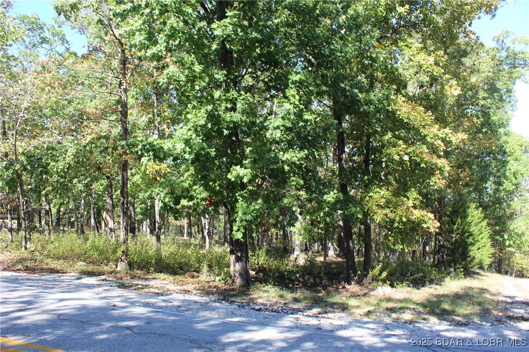 Build your dream home in the highly desirable Four Seasons community at Lake of the Ozarks! This 0.27-acre corner lot offers 194 feet of road frontage and a fairly level terrain, making it a great site for future development. The lot is currently undeveloped with city water available and electricity nearby for easy utility access. Enjoy all the incredible Four Seasons amenities including multiple pools, golf courses, boat ramps, tennis courts, fitness centers, and more. Great location just minutes from the lake, restaurants, shopping, and entertainment. Don’t miss this opportunity to own a piece of paradise in one of the lake’s most sought-after areas!