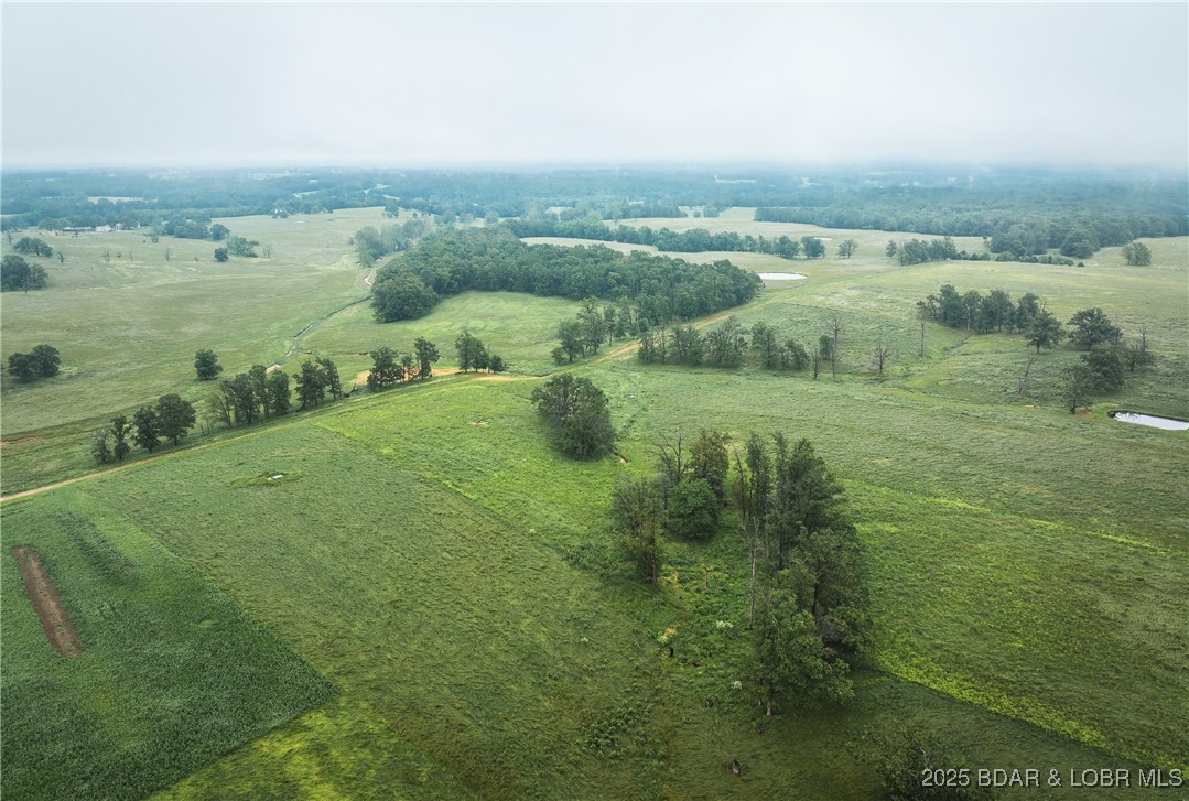 Out of Area - Land
