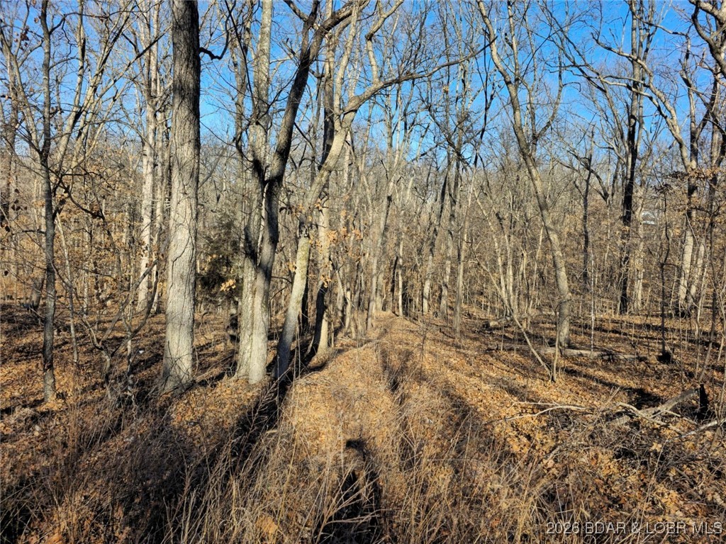 Ivy Bend - Land