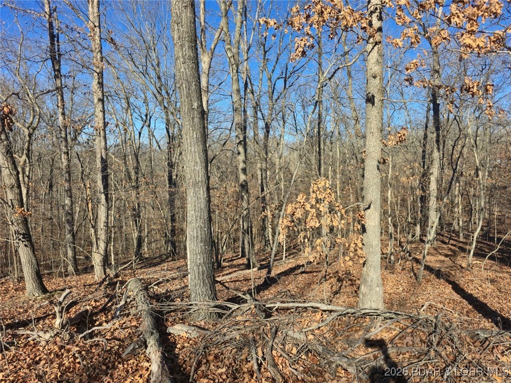 Ivy Bend - Land