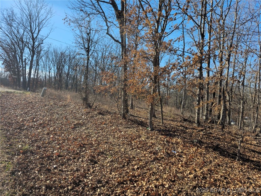 Ivy Bend - Land