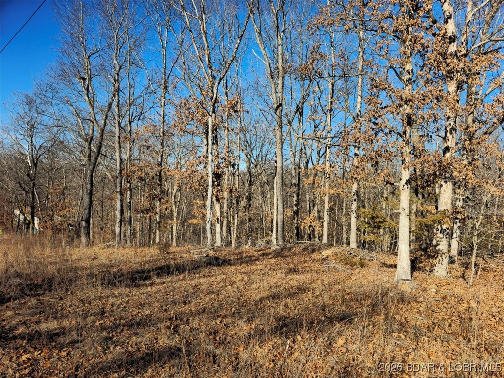 Ivy Bend - Land