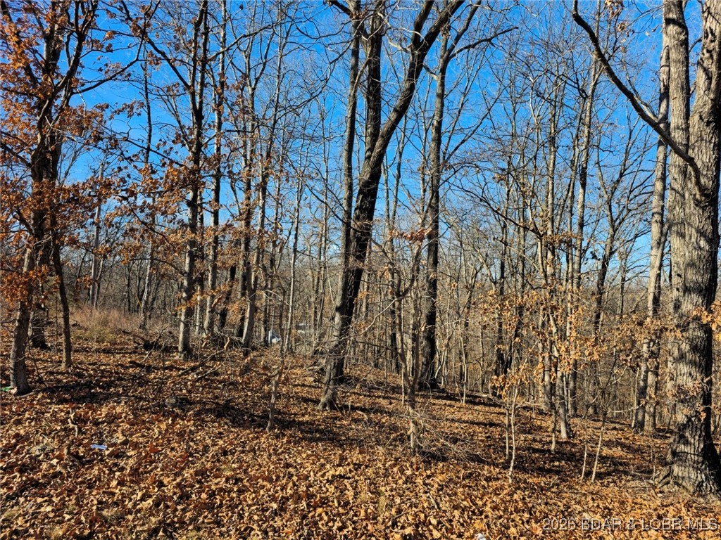 Ivy Bend - Land