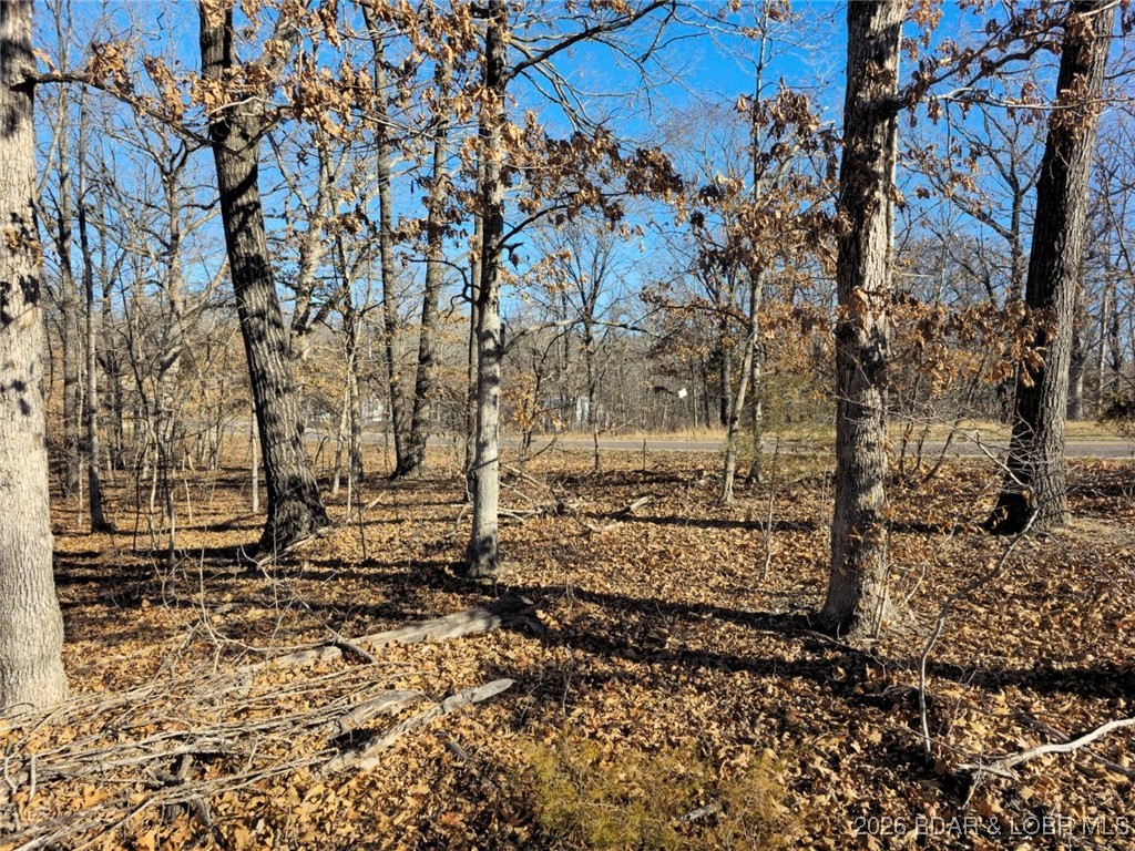 Ivy Bend - Land
