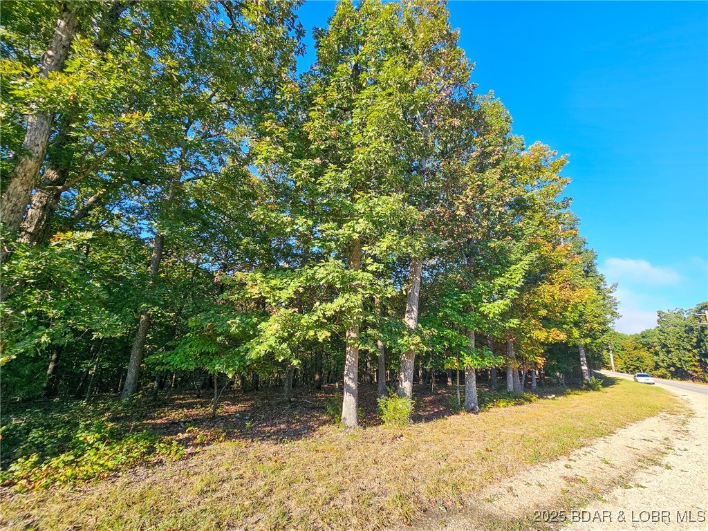 Discover this perfectly level 0.27-acre lot in the sought-after Four Seasons community, located on Bittersweet Road. This property offers the ideal setting for building your dream home, with HOA requirements calling for a home of at least 840 sqft or similar to the surrounding neighborhood. The lot is situated just a short stroll from the community pool and dog park, providing easy access to outdoor activities and amenities. With water and sewer agreements already in place, this property is primed for construction. Whether you are looking for a full-time residence or a vacation getaway, this lot offers the perfect canvas in a prime location!
