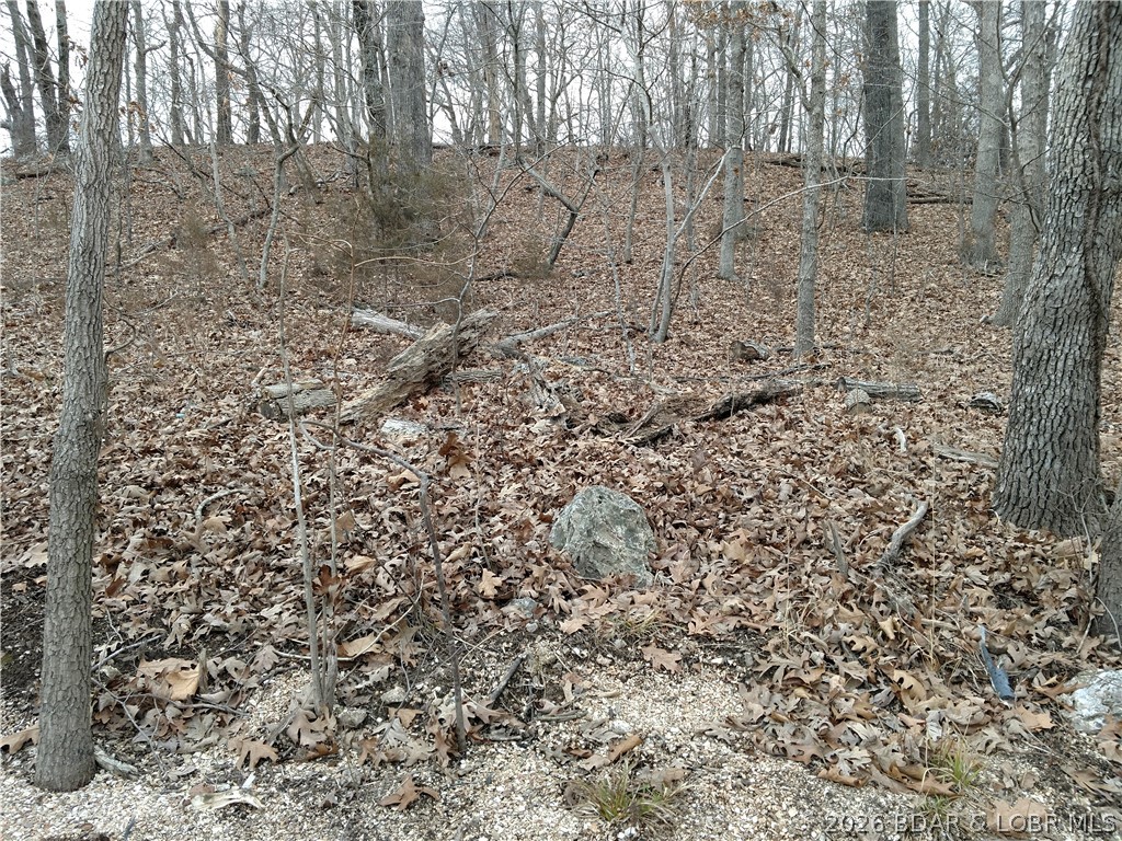 Stonebridge Village - Land