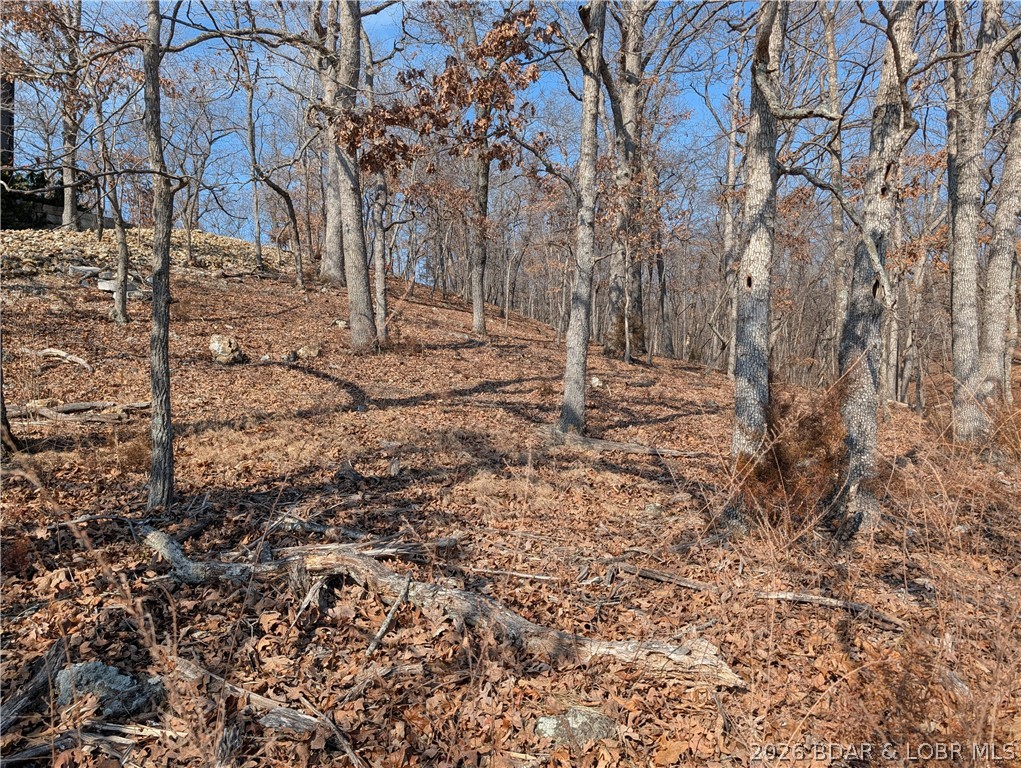 Stonebridge Village - Land