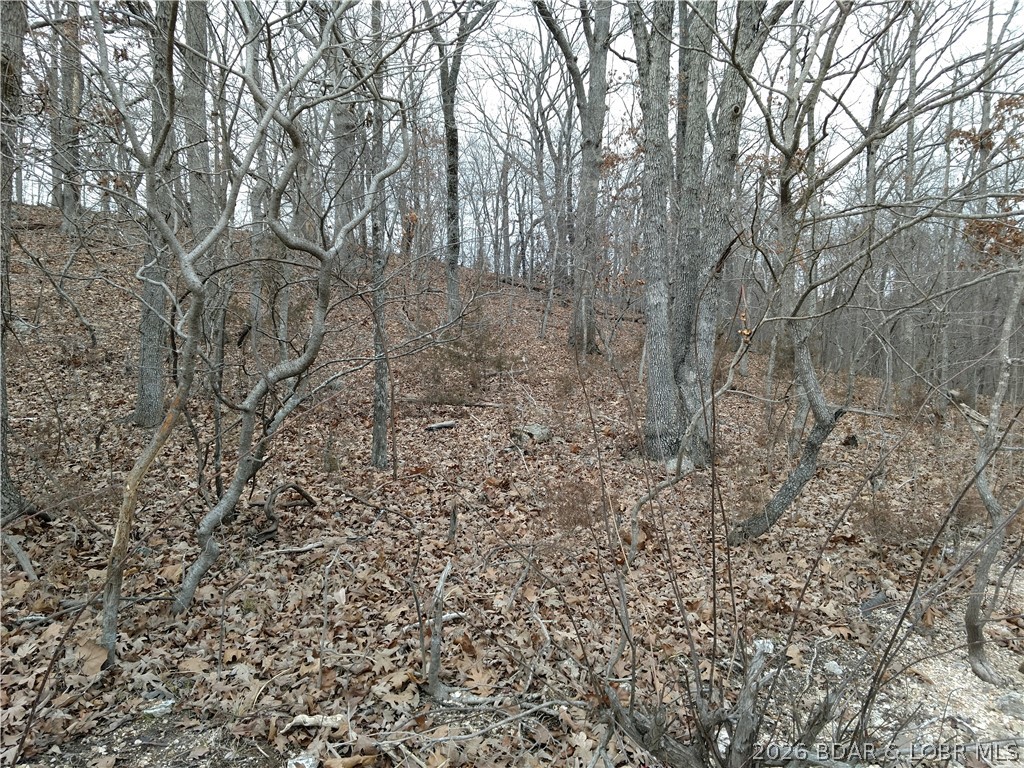 Stonebridge Village - Land