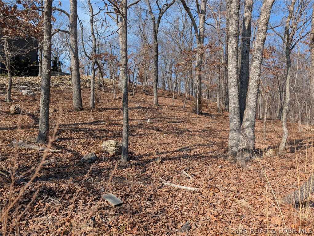Stonebridge Village - Land