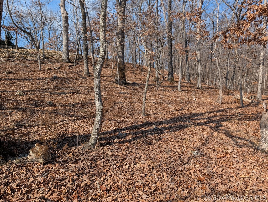 Stonebridge Village - Land