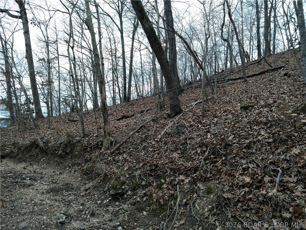 Stonebridge Village - Land
