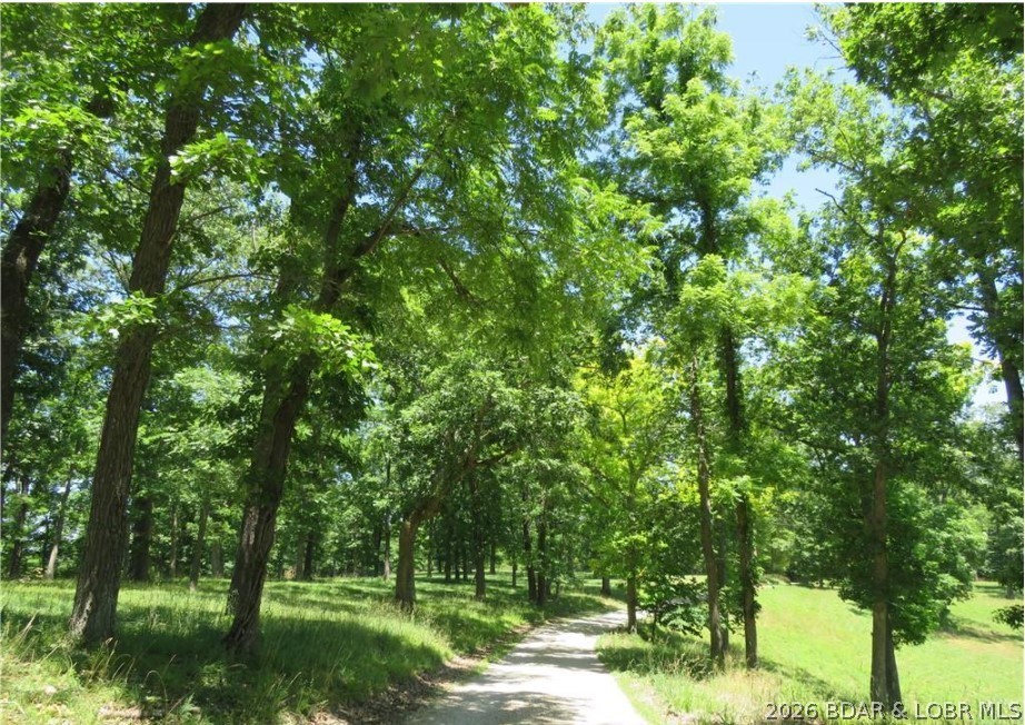 Timber Ridge - Land