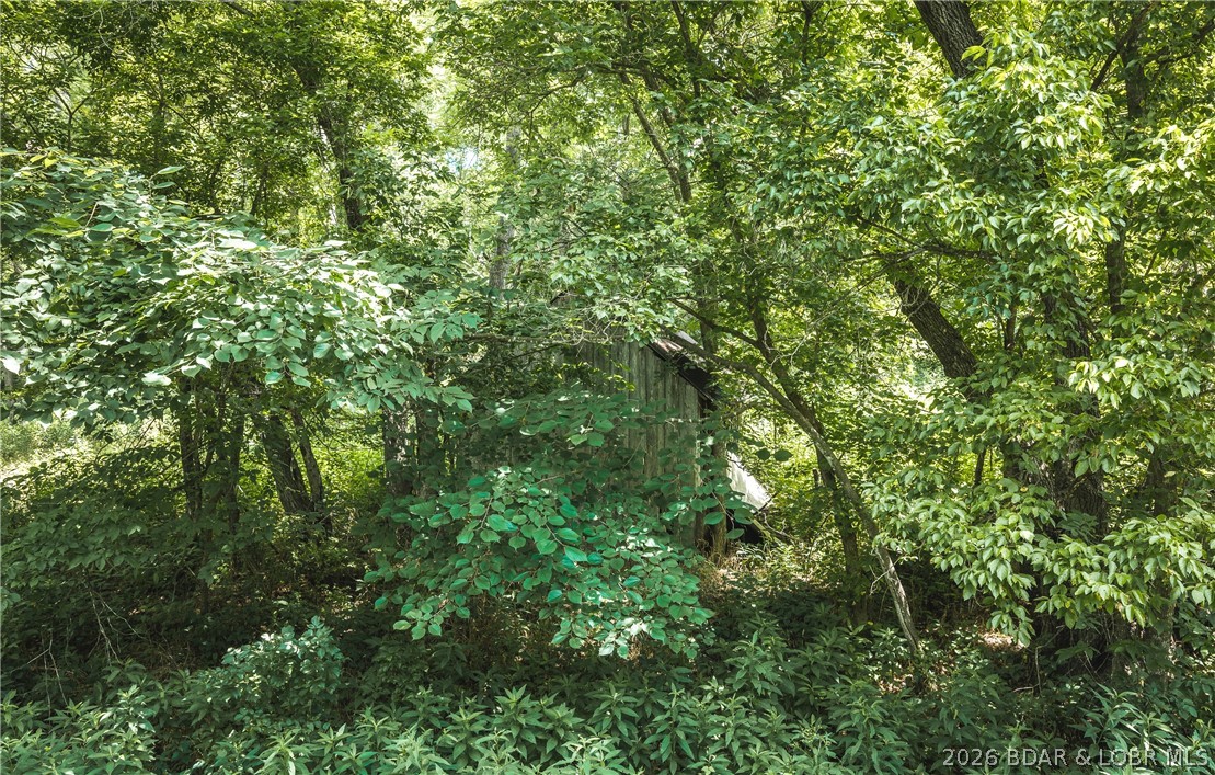 None - Residential