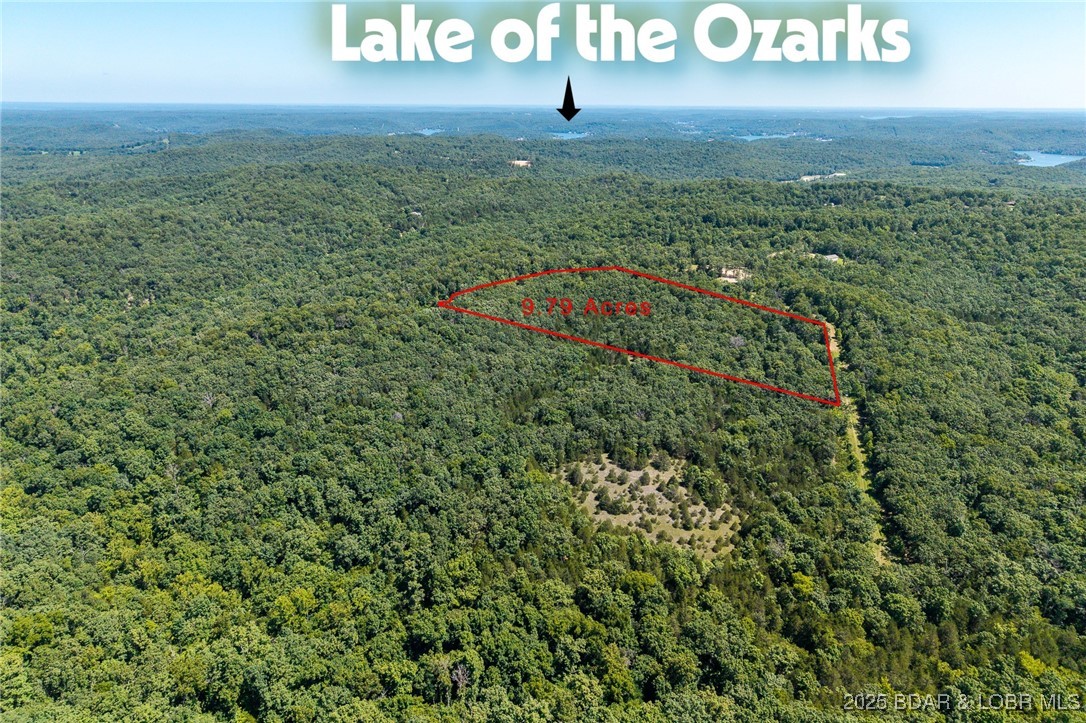 Three lots totaling 9.79 Acres.  All lots have underground electric ran to them. Minimal rules and regs. Larry R Gale public boat lunch is close by for all you access needs. More acreage available to purchase if needed. Private setting to build your dream country home on! Shouse style homes are allowed! Come stake your claim on some acreage today!