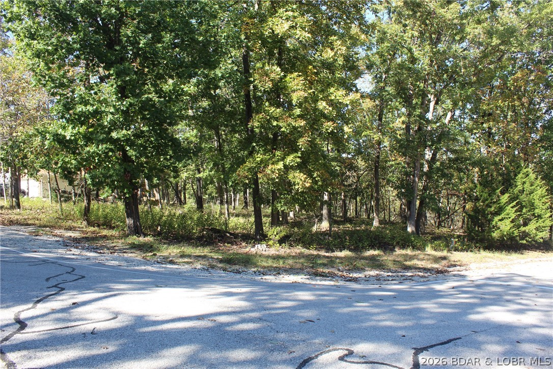 Build your dream home in the highly sought-after Village of Four Seasons. This approximately 0.27-acre corner lot offers paved road frontage and a convenient location near everything the Lake of the Ozarks has to offer. Enjoy access to premier community amenities, including multiple pools, boat ramps, parks, playgrounds, tennis and pickleball courts, walking trails, a fitness center, campground, and more. Whether you're planning a full-time residence or a weekend getaway, this property offers an excellent opportunity to become part of one of the lake's most established communities.