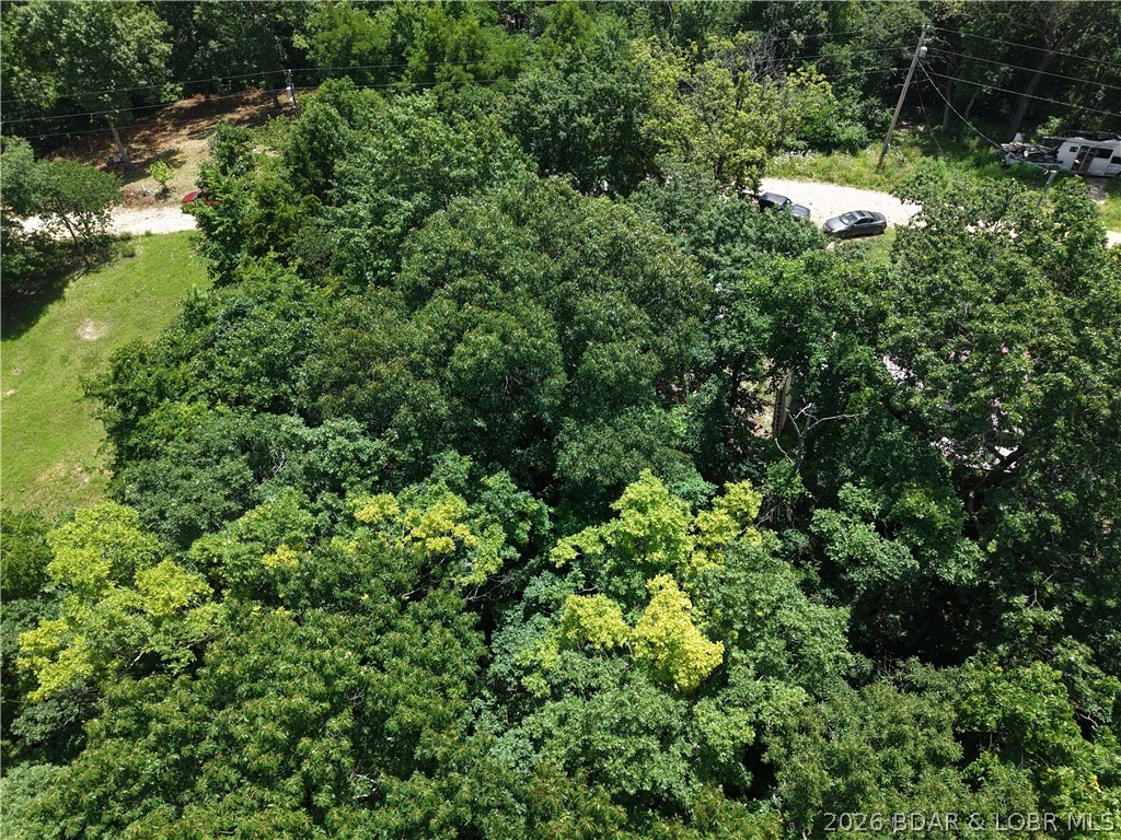 Ivy Bend - Land