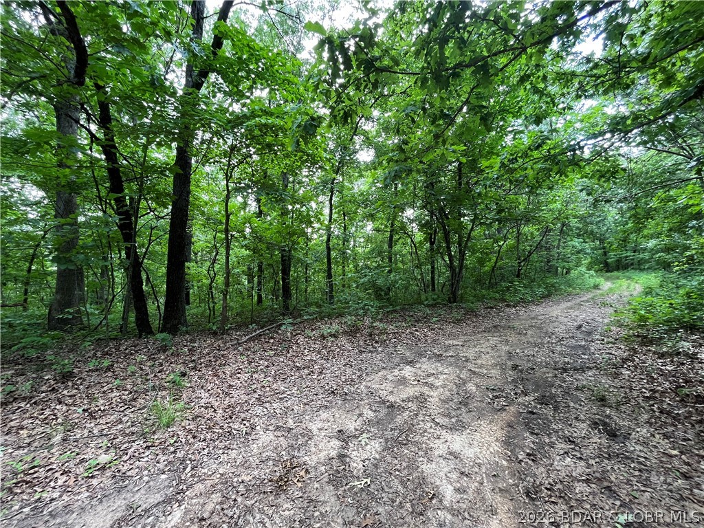 Escape the noise and embrace true off-grid living on this secluded 20-acre retreat near the beautiful Lake of the Ozarks. Tucked away in nature, this property offers the perfect mix of privacy, freedom, and convenience. Whether you’re dreaming of a self-sufficient homestead, a hunting getaway, or a peaceful place to unplug, this land is ready for it all. Enjoy excellent deer and turkey hunting right outside your door, with endless room to explore, build, and create the lifestyle you’ve been craving.