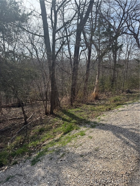 Welcome to Four Season and this is the perfect building lot! The proximity to the lake enhances its appeal with easy access to boating, fishing, and water sports. Great area for planning a vacation home, a permanent residence or retreat. This property provides a perfect location for recreational opportunities at the Lake of the Ozarks!