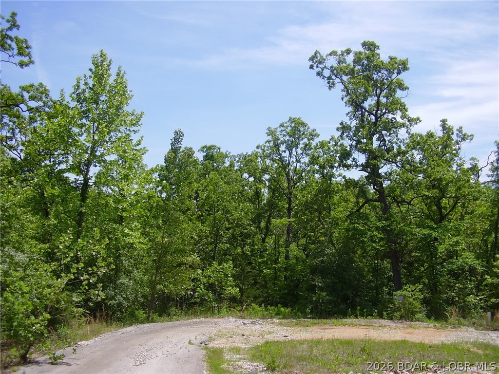 Great Building Lot in nice Subdivision located close to Camdenton Schools and behind the Camdenton Public Library. Only 5 Lots remaining. There is Community Water, Central Septic and Electric hookups. Great location close to Town, Shopping, Restaurants & Medical.