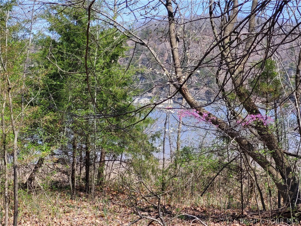 Enjoy the best of lake living on the beautiful Lake of the Ozarks, where stunning waterfront views meet the serenity of calmer waters. This prime homesite is made even more desirable with utilities already in place, making it easy to bring your vision to life—whether it’s a full-time residence or a relaxing weekend escape. Located within a gated community, you’ll appreciate the added privacy and sense of security, all while being surrounded by the peaceful charm of lakeside living.