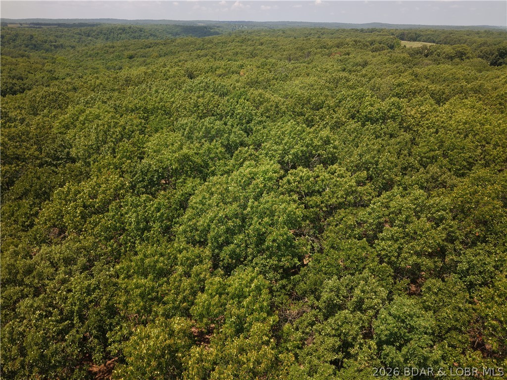 Lake of the Ozarks Hills - Land