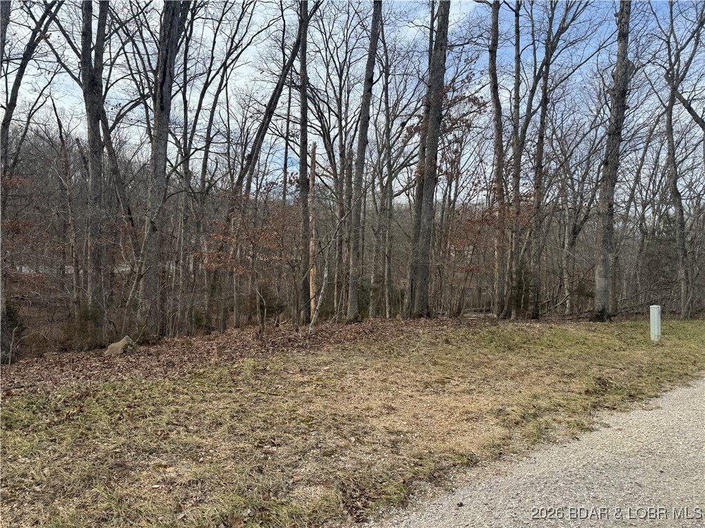 Lake View Lot in Four Seasons! Build your dream home in one of Lake Ozark’s most desirable communities. This beautiful lot on Fairlawn Dr offers scenic lake views and the perfect setting for a full-time residence, vacation getaway, or future investment. Located in the Four Seasons community, you’ll enjoy an unmatched list of amenities including boat ramp, boat trailer parking, campground, clubhouse, community pool, indoor pool, playground, tennis courts, reserves, and road maintenance. Convenient to shopping, dining, golf, and all the best of the Lake of the Ozarks lifestyle. Don’t miss this opportunity to secure a prime build site with views and access to everything Four Seasons has to offer!