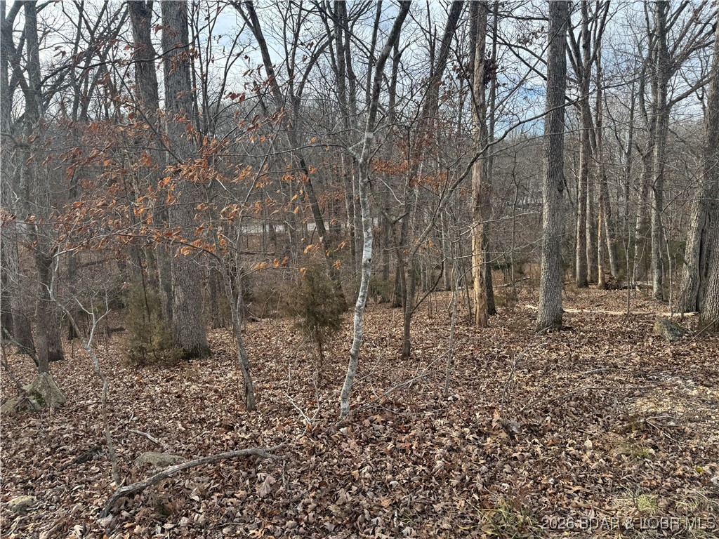 Cornett Cove No. 4 - Land