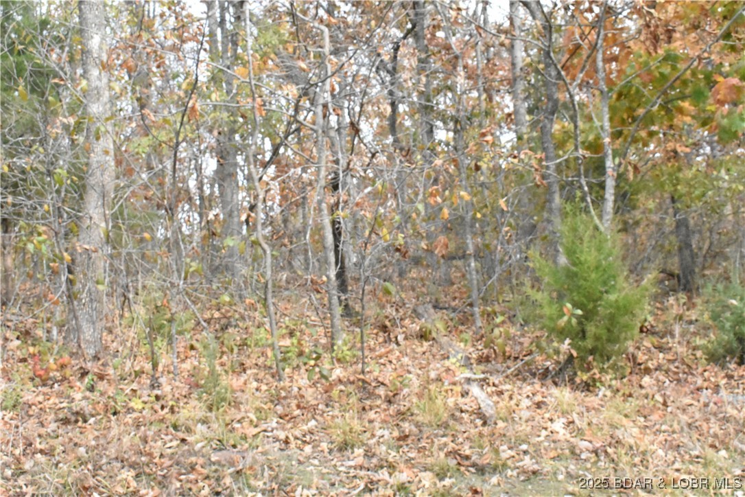 Perfect 2nd tier lot with seasonal lakeviews and just around the corner from one of the Four Seasons Boat Ramp! This is a great lot to build your custom dream home on today or even use for lake access benefits! It even has Four Season's variety of amenities such as; community pools indoor & outdoor, tennis courts, playground, skate park, boat ramps, community dock and more! Call today for more information! Don't miss out on this great opportunity!