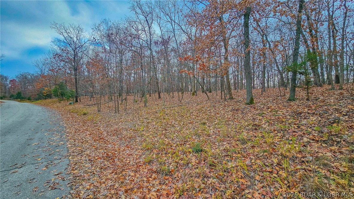 Discover the perfect setting for your custom home in the highly sought-after community of Porto Cima. This exceptional 0.38-acre lot offers a rare combination of prestige and buildability. Boasting an impressive 113 feet of paved road frontage, the property features a very gentle slope, making it an ideal candidate for a cost-effective build or a potential walkout lower level without the steep terrain challenges often found in the area. Protect your investment with reasonable POA guidelines requiring a minimum of 1,100 sq. ft. (or compatible with neighboring homes), allowing flexibility to build a cozy luxury villa or a spacious full-time residence. Enjoy the amenities and lifestyle that come with Porto Cima ownership. This is one of the best values currently available for immediate construction!