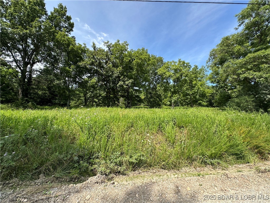 Build Your Dream Retreat at Lake of the Ozarks – Lot 6R, Holiday Hills Subdivision

Don’t miss this rare opportunity to own a generous 0.63-acre second-tier lot in the peaceful and well-established Holiday Hills Subdivision at Lake of the Ozarks. Lot 6R offers a beautiful wooded setting just minutes from the water—perfect for building your ideal full-time home, vacation retreat, or investment property.

With nearly two-thirds of an acre, this lot provides ample space and privacy while still being close to all the lake’s amenities. Community water and electric are available nearby, making it easy to bring your plans to life. Whether you're looking to enjoy boating, fishing, or the area's popular dining and entertainment, you're just a short drive away from it all.

Set in a quiet, scenic neighborhood, Lot 6R gives you the best of both worlds—tranquility and convenience—without the cost of a waterfront lot.

Start your Lake of the Ozarks lifestyle today—Lot 6R is ready for your vision.