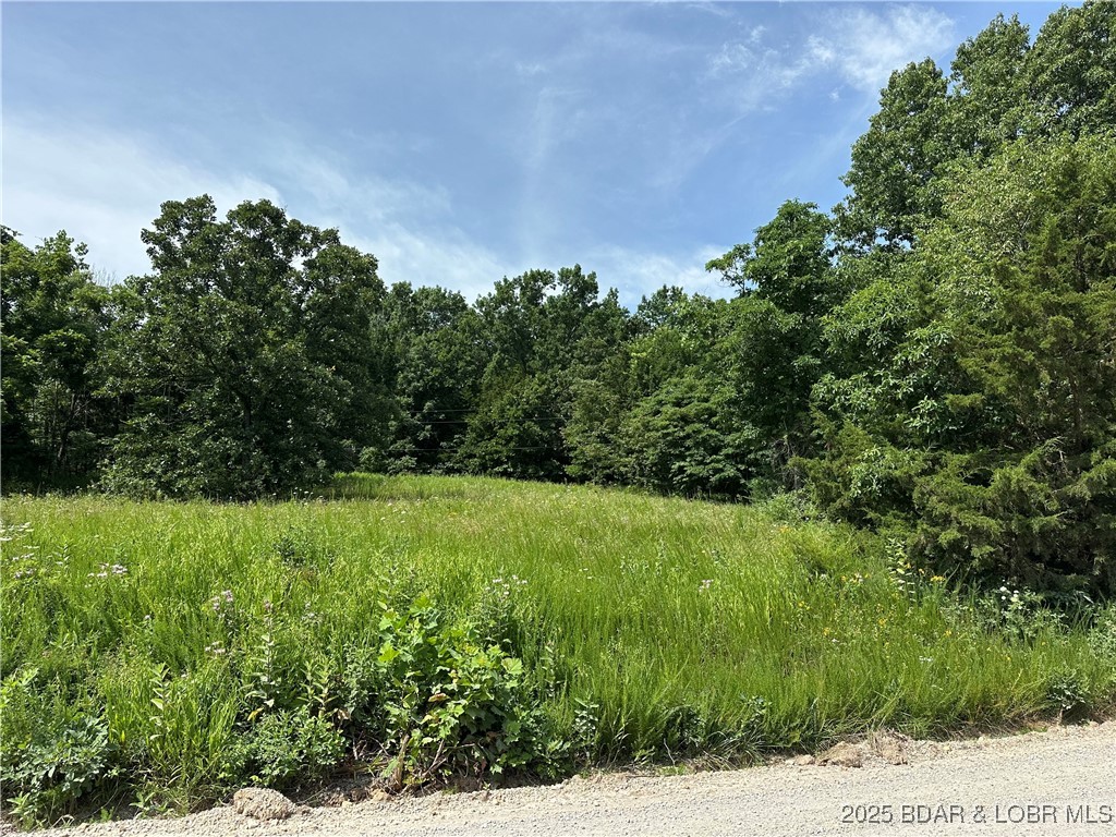 Build Your Dream Retreat at Lake of the Ozarks – Lot 5R, Holiday Hills Subdivision
Here’s your chance to own a spacious 0.49-acre second-tier lot in the peaceful and desirable Holiday Hills Subdivision at Lake of the Ozarks. Lot 5R offers a quiet, wooded setting just minutes from the water—perfect for those seeking a blend of seclusion and lake living.
This nearly half-acre lot provides plenty of room to build your dream full-time home, weekend getaway, or investment property. With community water and electric available nearby, it’s ready for your custom plans. You’ll enjoy easy access to boating, fishing, dining, and the best of what the lake has to offer.
Located in an established neighborhood known for its tranquility and natural beauty, Lot 5R is ideal for anyone looking to enjoy the lake lifestyle without the waterfront price.
Don’t miss this opportunity—Lot 5R is your perfect starting point at Lake of the Ozarks.