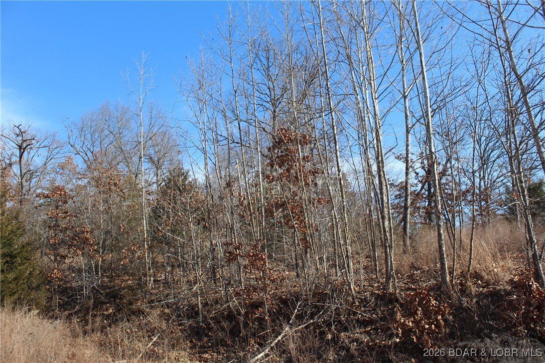 Woodhaven Estates - Land
