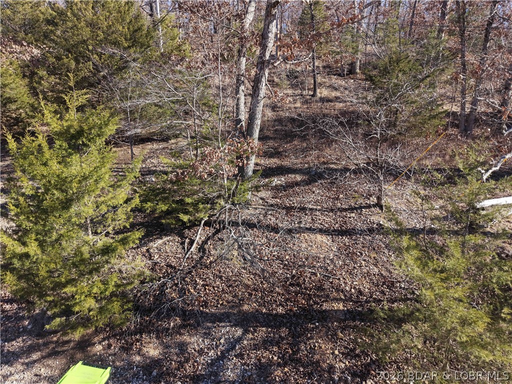 Bear Paw - Land