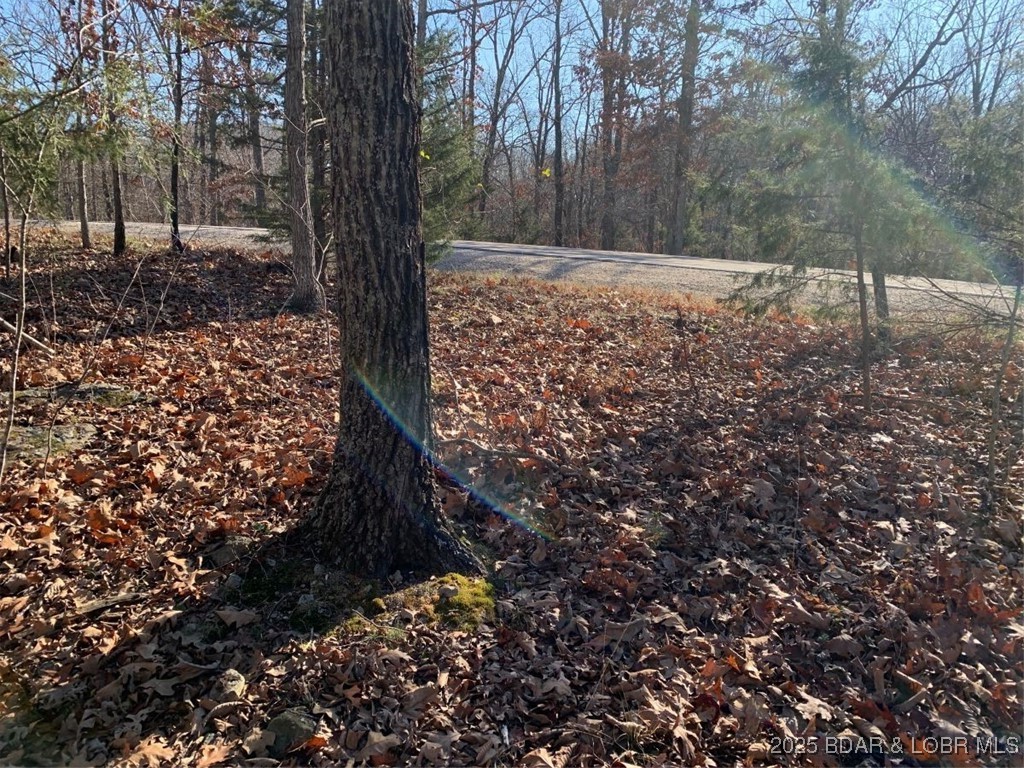 Build your next home on this gentle, ready-to-develop lot in the
sought-after Four Seasons community. This property offers an ideal setting
with easy topography—perfect for a smooth build and flexible home design
options. Residents enjoy full access to world-class amenities, including
multiple pools, an aquatic center, tennis courts, a dog park, and a
convenient community boat ramp for effortless lake living. This lot provides
a rare opportunity to enjoy everything Four Seasons has to offer - a great
location, premier amenities, and a beautiful buildable site. This one checks
all the boxes.
