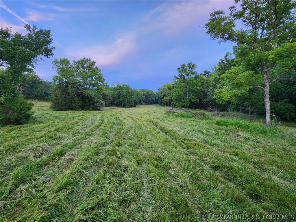 90±/- acres offering an exceptional blend of recreation, agriculture, and future homesite potential in the heart of Miller County. This diverse tract features mature hardwood timber, approximately 60+/- acres of open pasture, multiple natural springs, and a year-round spring-fed creek. Mostly newer fencing, with only the east boundary requiring attention, enhances the property's potential for cattle or hobby farming. Thoughtfully managed over the years to encourage wildlife habitat, with natural bedding cover, established travel corridors, and several locations suitable for food plots. Maintained habitat supports abundant deer and turkey for exceptional hunting opportunities. Rich in local history, this land was once home to one of Miller County's earliest homesites, and arrowheads have been discovered throughout the property over the years. Power is available on-site, several deer stands are included, and a survey is currently in progress prior to closing. Enjoy the privacy of country living while remaining just a short drive from the Lake of the Ozarks, offering the perfect balance of recreation, farming, and everyday convenience.