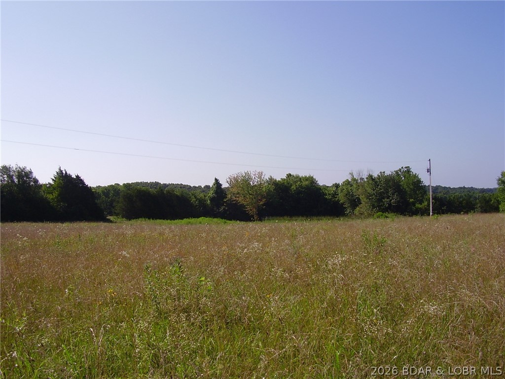 What a great 40 ac tract of land to put your Dream Home on and raise Livestock and lots of Pasture for hay. Has Elect, Well, Lagoon and a nice pond close to build your Home..Beings now for hay and getting LOTS of Big Bales!!!! Some trees are in different areas make it more private. Great Tract of land so GO see it for yourself!!!! Good roads to property!! For the Hunters there is about 12-16 ac for Great deer Hunting in the woods !!!! Home and Schouse w/40 ac joining this property is also avail to buy