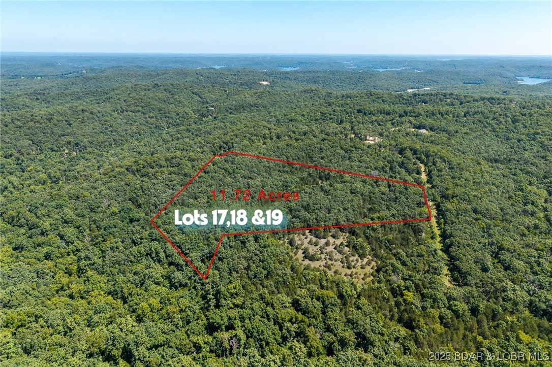 Three lots totaling 11.72 Acres. All lots have underground electric ran to them. Minimal rules and regs. Larry R Gale public boat lunch is close by for all you access needs. More acreage available to purchase if needed. Private setting to build your dream country home on! Shouse style homes are allowed! Come stake your claim on some acreage today! Lots 17,18 & 19 are included in this sale.
