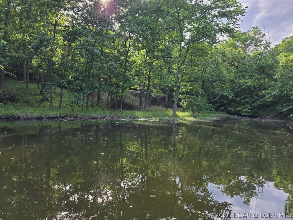 Fanny Jarvis Acres - Land