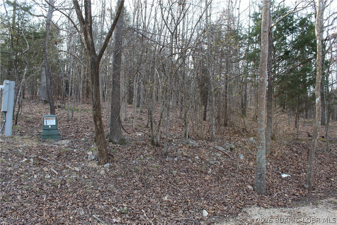 Country Life Acres - Land