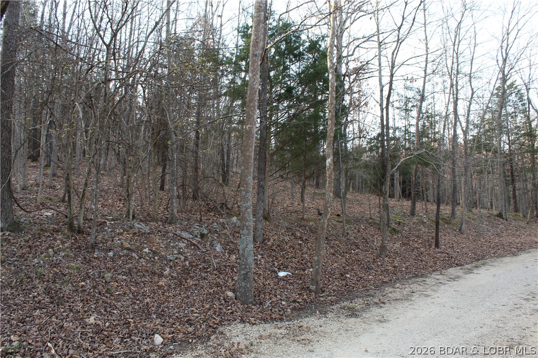 Country Life Acres - Land