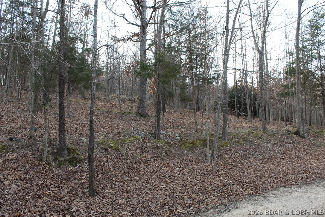 Country Life Acres - Land