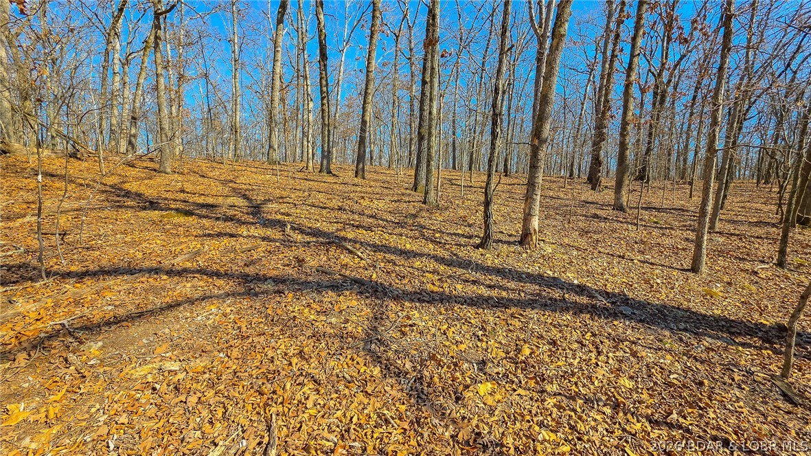 Eagles Cove - Land
